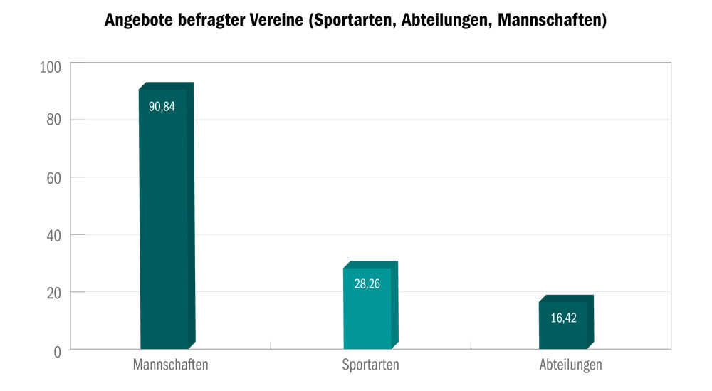 Angebote befragter Großsportvereine (Sportarten, Abteilungen, Mannschaften).